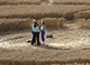 Crop Circle Discussion Forum