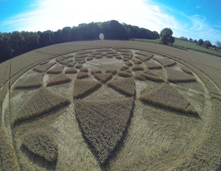 Crop Circles England : UK Crop Circle Reports and Photos